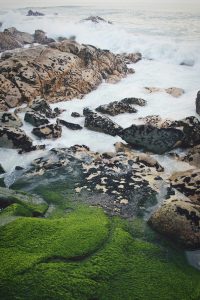 Rocks covered in moss near crashing ocean waves.