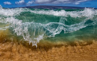 “Frozen Glass” by Moses Slovatizki Rises to 4th Place at the San Diego County Fair’s Photography Competition