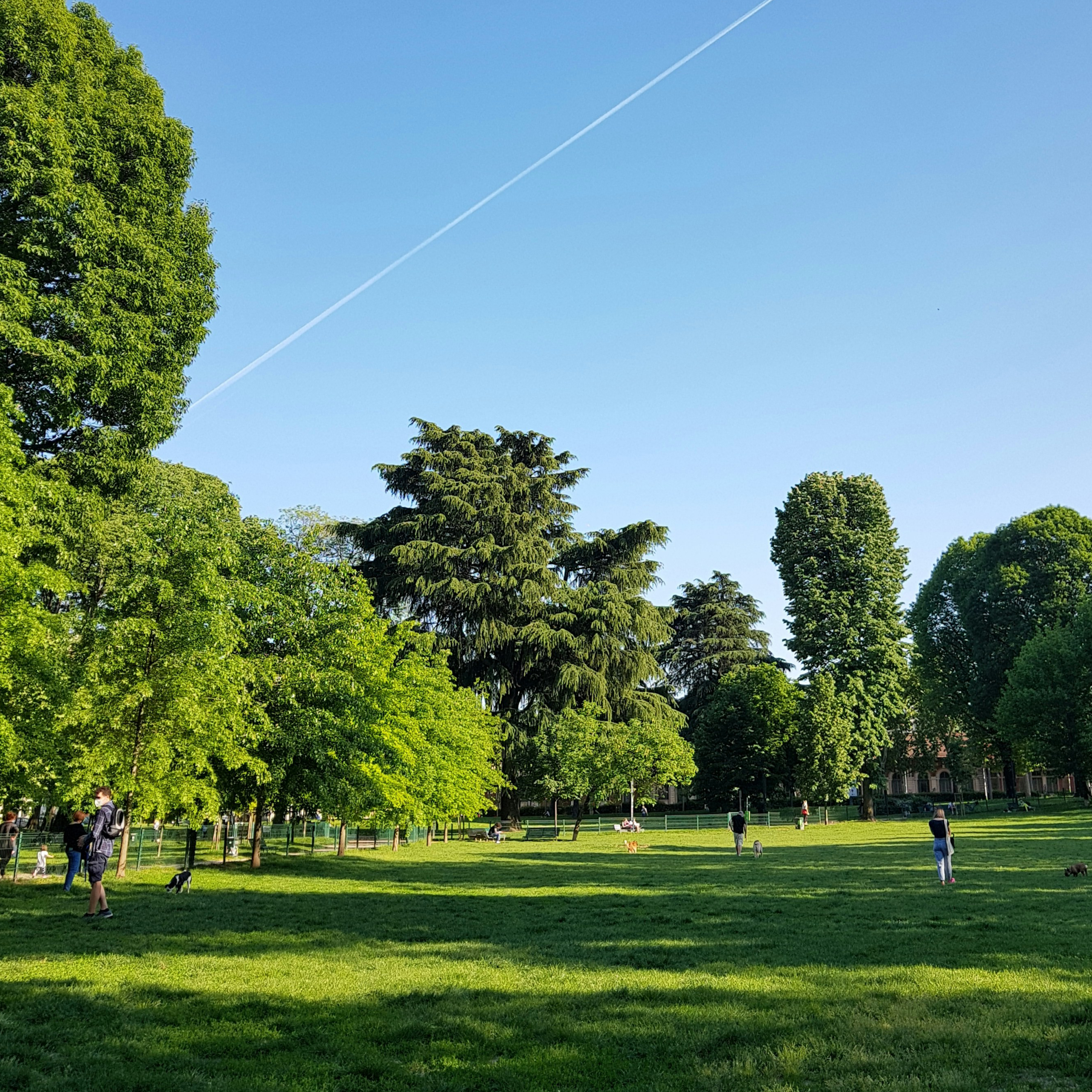 Sunny park with trees and people enjoying nature.