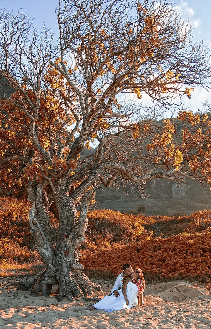 Couple embracing under a large autumn tree.
